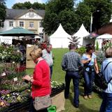 1406S 23 Hedera und Bux